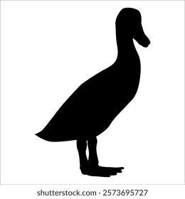 Farm Animal Duck Silhouette Vector Illustration