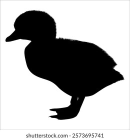 Farm Animal Duck Silhouette Vector Illustration