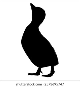 Farm Animal Duck Silhouette Vector Illustration