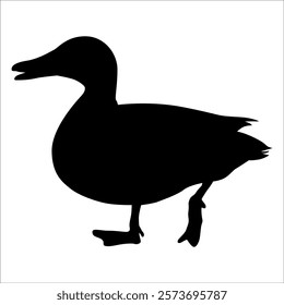 Farm Animal Duck Silhouette Vector Illustration