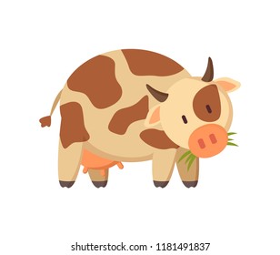 Farm animal friendly spotted dairy cow chewing grass illustration isolated. Rural cattle beast applique in pastel shade for informative color poster.