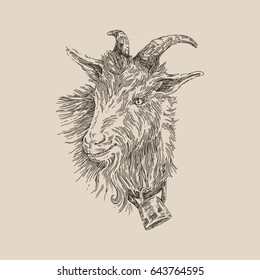Farm animal goat. Goat with a bell. Vintage style. Vector illustration.