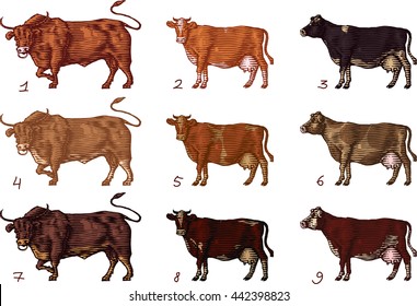 Farm animal group.The color and blend mode can be different.