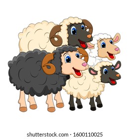 Farm animal group family. white  Sheep, lamb,  black ram   design isolated on white background. Cute cartoon animals collection Vector illustration