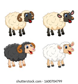 Farm animal group. white  Sheep, lamb,  black ram   design isolated on white background. Cute cartoon animals collection Vector illustration