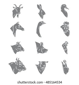 Farm animal heads vector collection. Butchery logo and labels set isolated.