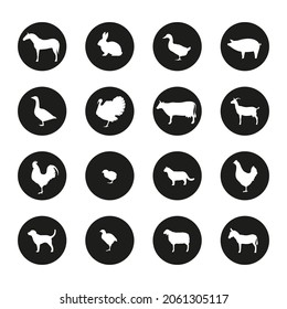 Conjunto de iconos de animales de granja. Caballo, perro, cabra, burro, cerdo, gato, vaca, oveja, gallina, ganso, conejo, pato, pavo, pollo, engorde, gallo. Ilustración vectorial.