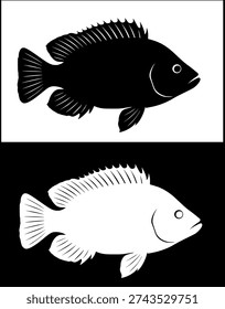 Farm animal icon, vector illustration of tilapia fish, black and white silhouette, in original and negative versions