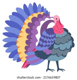 Farm animal, isolated avian creature with colorful lush plumage and feathers. Turkey fauna and environment, wildlife portrait. Production of meat in rural area. Vector in flat style illustration