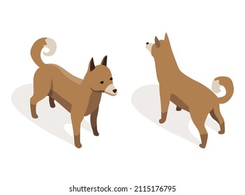 Farm animal isometric. Domestic animal in 3d flat back and front view. Cute game character of dog. Vector icon