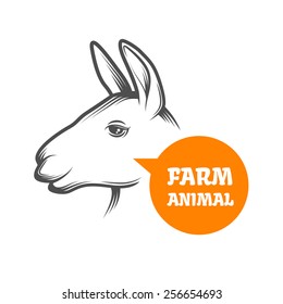 Farm animal - lama, alpaca. Vector illustration.