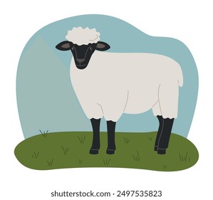 Farm animal, livestock. Cute sheep with a black muzzle standing on a field. Wool, herd, lamb. Isolated hand drawn flat illustration.