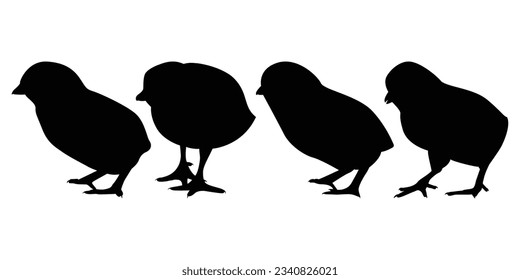 Farm Animal Newly born Hen Silhouette Vector Illustration