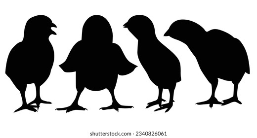 Farm Animal Newly born Hen Silhouette Vector Illustration