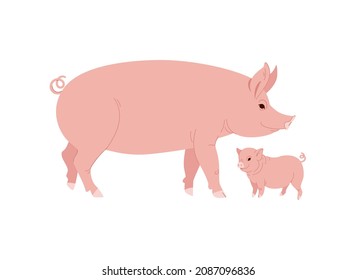 Farm Animal Pig With Funny Piggy. Little Piglet. Vector Illustration Set.
