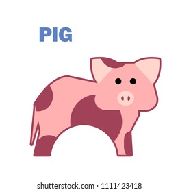 Farm animal pig isolated