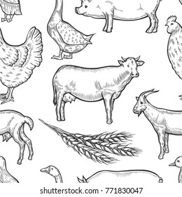 Farm animal seamless pattern background. Fresh organic meat. Cow, goat, pig, hen, goose, duck. Hand drawn sketch. Vintage vector engraving illustration for wallpaper, poster, web.