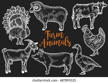 Farm animal set. Fresh organic meat. Cow, goat, pig, turkey, hen, sheep, goose, duck. Hand drawn sketch. Vintage vector engraving illustration for poster, web. Isolated on black background