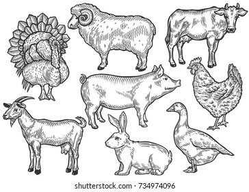 Farm animal set. Fresh organic meat. Cow, goat, rabbit, pig, turkey, hen, sheep, goose, duck. Hand drawn sketch. Vintage vector engraving illustration for poster, web. Isolated on white background