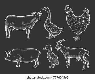 Farm animal set. Fresh organic meat. Cow, goat, pig, hen, sheep, goose. Hand drawn sketch. Vintage vector engraving illustration for poster, web. Isolated on white background