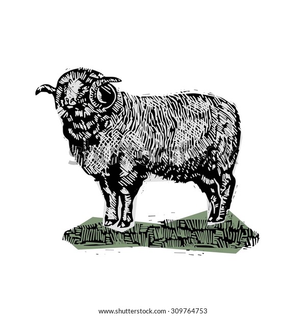 Farm Animal Sheep Vintage Vector Engraving Stock Vector (Royalty Free ...