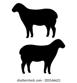 Farm animal silhouette in black on a white background