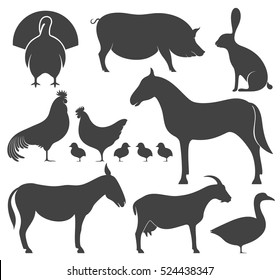 Farm animal silhouette. Isolated farm animal on white background