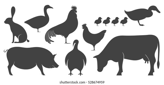 Farm animal silhouette. Isolated farm animal on white background