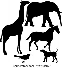 The Farm Animal Silhouette Vector is suitable for papers or articles on a White background