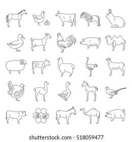 Farm animal thin line collection. Chicken, horse, cow, calf, sheep, angus, rabbit, duck, goat, pig, camel,sheep, llama, ostrich, turkey, goose isolated on white. Flat design. Vector illustration