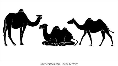 farm animal vector illustration in black and white