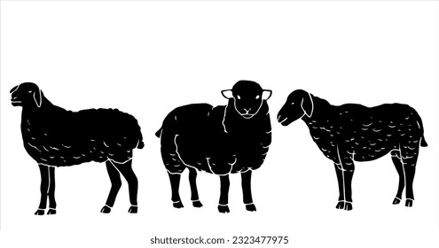 farm animal vector illustration in black and white