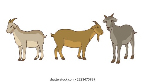 farm animal vector illustration with color and shadow