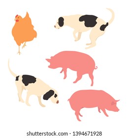 Farm animal vector isolated flat set. Animal illustrations