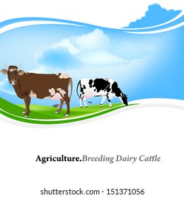 Farm animal,Agriculture.Breeding dairy Cattle.Vector background