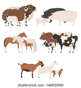 Farm Animall Family Collection. Cattle, Sheep, Pig, Horse, Goat Icon Set. Flat Design. Vector Illustration