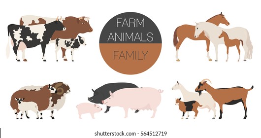 Farm animall family collection. Cattle, sheep, pig, horse, goat icon set. Flat design. Vector illustration