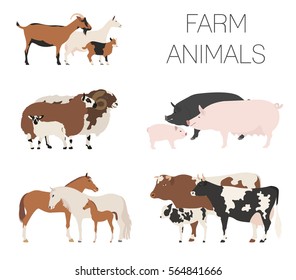 Farm animall family collection. Cattle, sheep, pig, horse, goat icon set. Flat design. Vector illustration