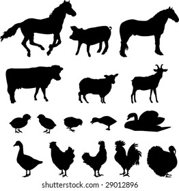 Vector Farm Animals Silhouettes Isolated On Stock Vector (Royalty Free ...