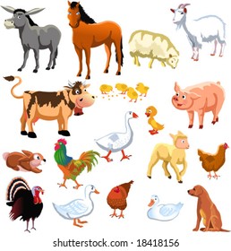 farm animals