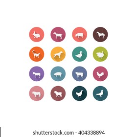 Farm animals