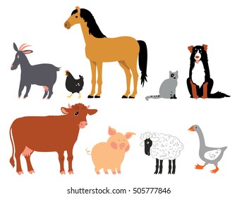 farm animals