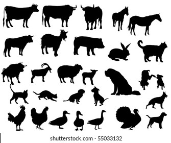 Farm animals