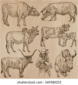 Farm animals around the World. An hand drawn vector illustrations. Collection. Editable in layers and groups.