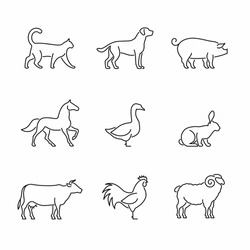 Farm Animals And Birds Vector Icons.   Pets, Livestock And Fowl Illustration. 