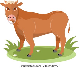 Farm Animals. A bull stands on green grass on a white background. Baby flat vector illustration.