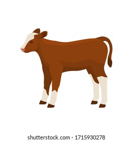 Farm Animals Calf Cow Bull Vector Illustration