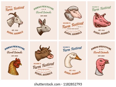 Farm animals cards. Head of a domestic pig goat cow rabbit sheep. Vintage Template logos or emblems for signboard. Set of Posters for the menu. engraved hand drawn in old sketch