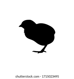 Farm animals chicken chick vector icon