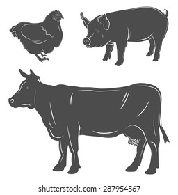 farm animals. chicken, pig, cow. butcher shop.